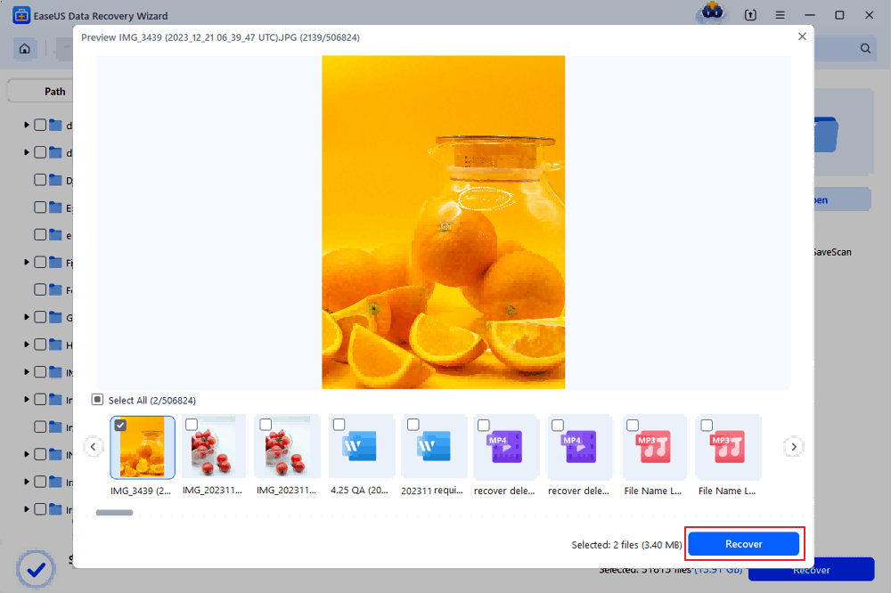 preview and recover deleted files